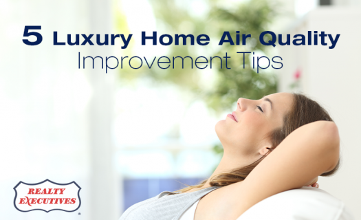 Home Air Quality Improvement Tips