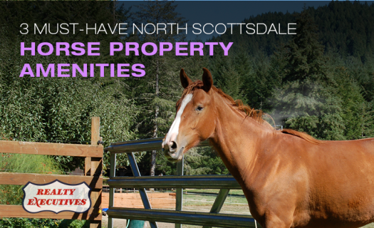 North Scottsdale Horse Property Amenities