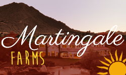 Martingale Farms Homes for Sale Paradise Valley Arizona