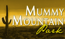 Mummy Mountain Park Homes for Sale Paradise Valley Arizona